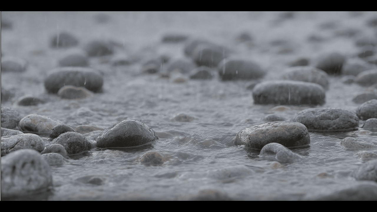 Gentle Rain on River Stones Ambience with Soft Flowing Water for Deep Sleep and Peaceful Relaxation
