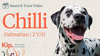 Chilli Training Video