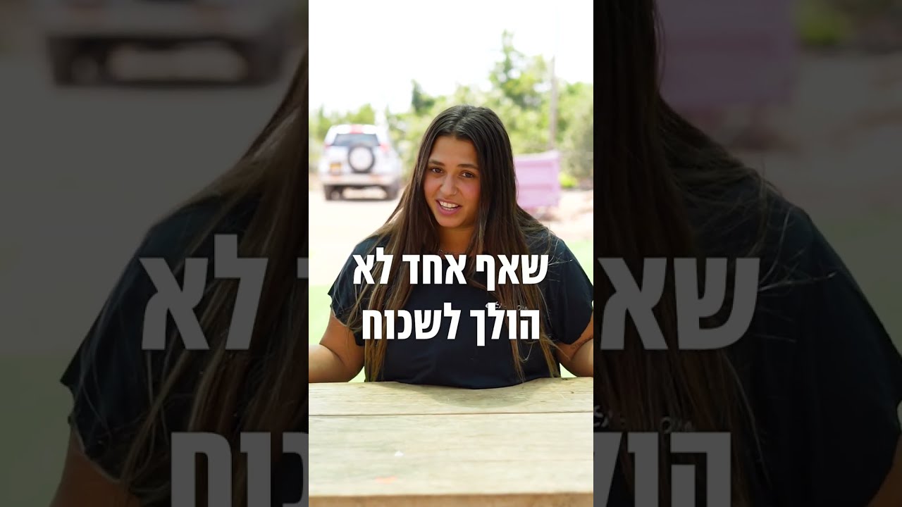 מור DOGS