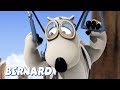 Bernard Bear | Learning to Fly AND MORE | 15 min Compilation | Cartoons for Children