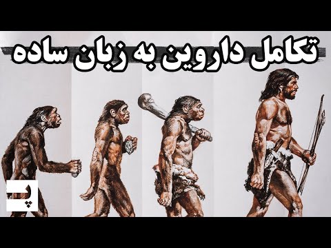 تصویری: آیا انتخاب طبیعی روی گونه ها تاثیر می گذارد؟