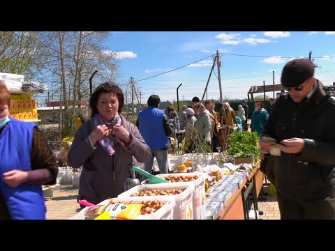 26.05.2021 Первая экологическая ярмарка в Тулуне