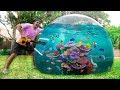 FIRST EVER BUBBLE BALL AQUARIUM! *fish inside!*