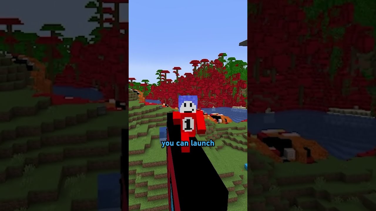 Bedrock Edition S SECRET Feature