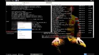 KALI STON EXPLOIT FIREFOX FOR ANY SYSTEM