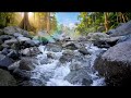 🍀 Celtic Fantasy River Music 🌊 Magical Nature Ambience for Relaxation & Sleep