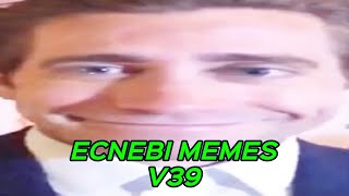 ECNEBI MEMES V39
