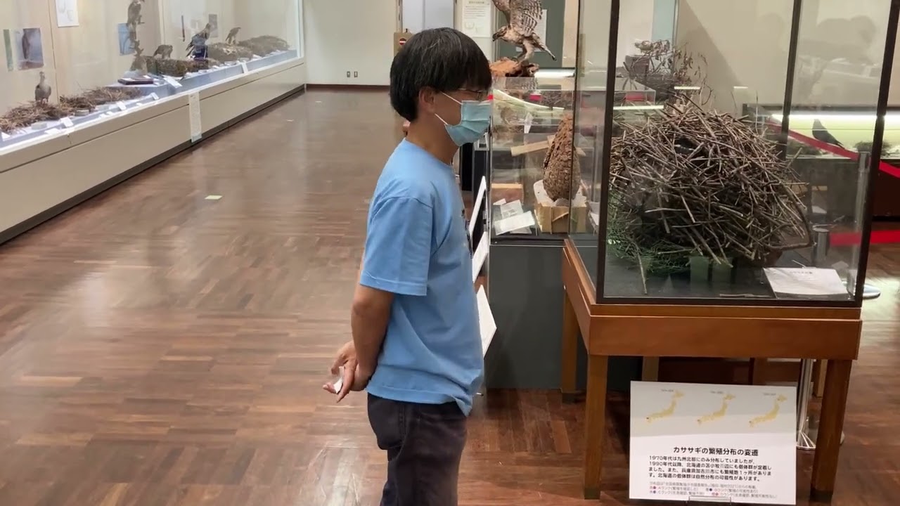 日本の鳥の巣と卵427展ショート解説動画その3 - YouTube