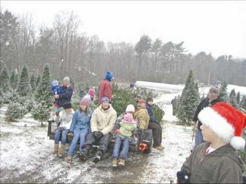 cut-your-own-at-ingraham-christmas-tree-farm