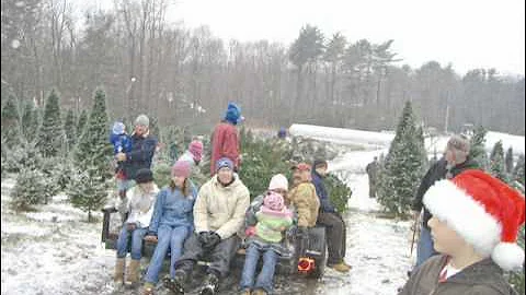 Cut your own at Ingraham Christmas Tree Farm