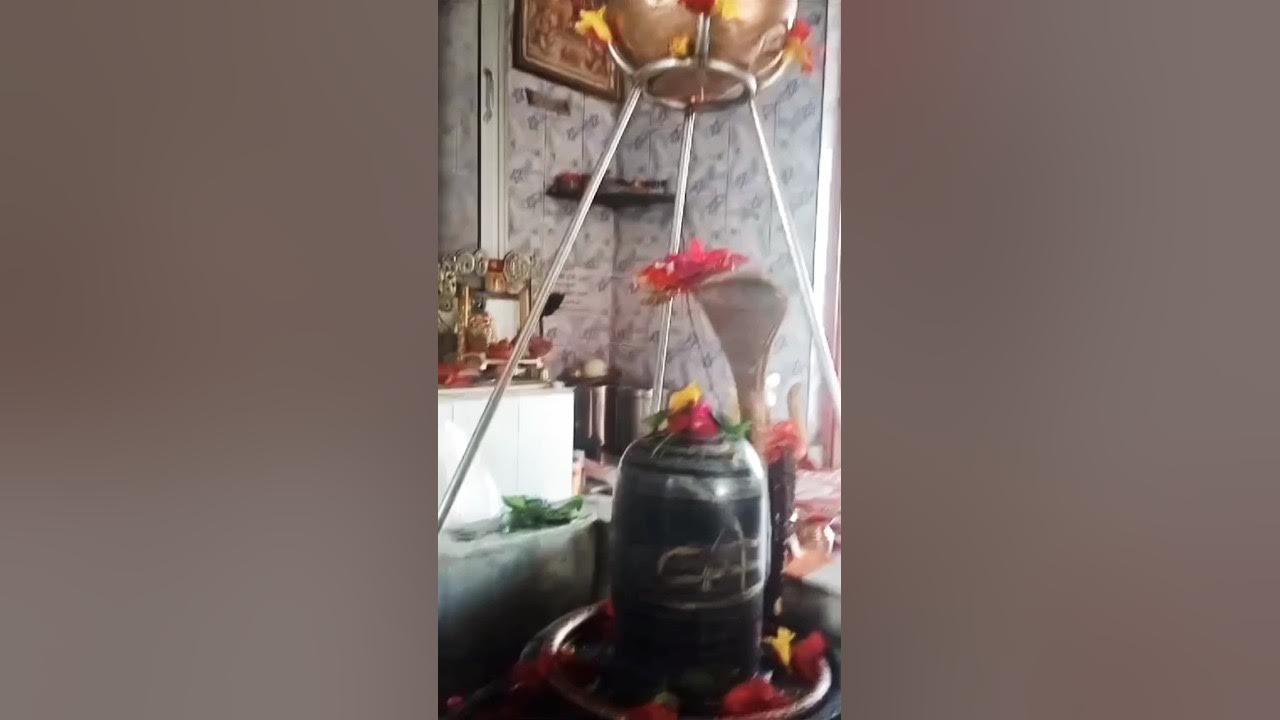 Shiv Temple In Haldwani YouTube shiv-temple-in-haldwani-youtube