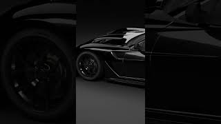 The Process vs The Art - MPP 599XX EVO-HY Styling