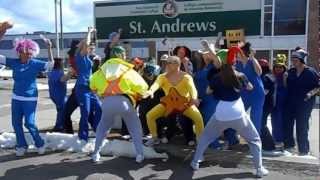 Harlem Shake -- Practical Nurse NBCC St. Andrews 2013