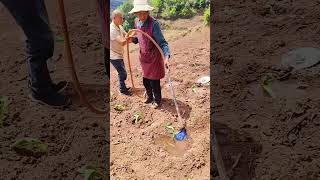 #It's not easy for farmers to farm #Migrant Workers #Recording the lives of migrant worker#b0038