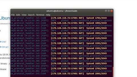 How to run a safex blockchain node (short version)