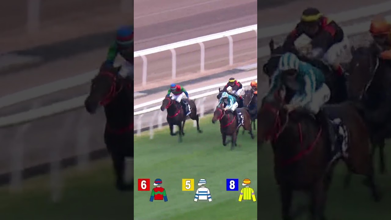 ROMANTIC WARRIOR - J. McDonald 