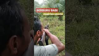 berburu babi #shorts #hunting screenshot 5