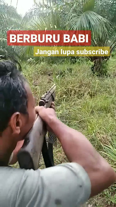 berburu babi #shorts #hunting