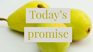 Bible verse/ Today's promise/ promise of the day/ Jesus Christ/ word of god screenshot 5