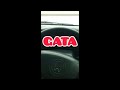 バモスのハンドルがガタガタ #shorts