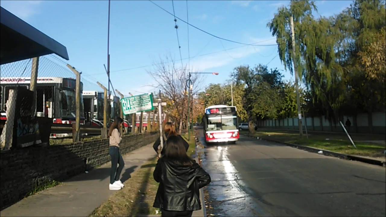 Estilo Bondi Línea 314