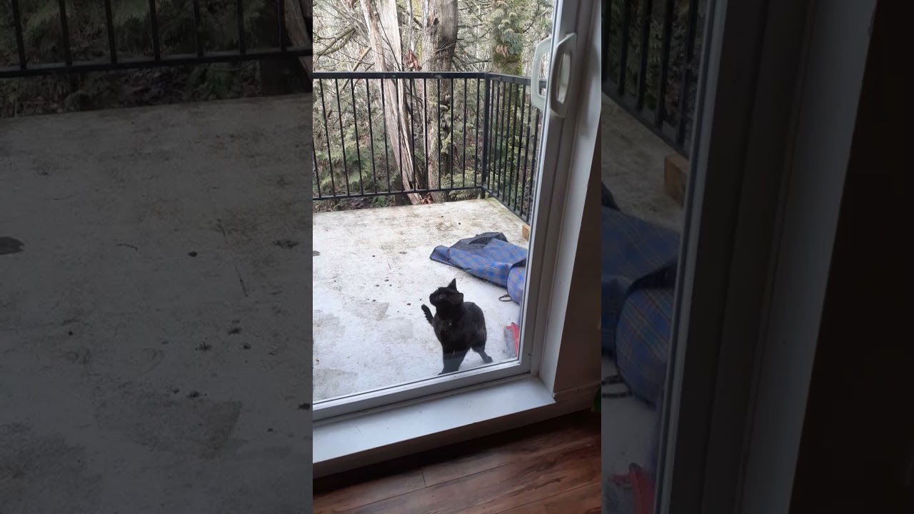 Linda wants to come in!