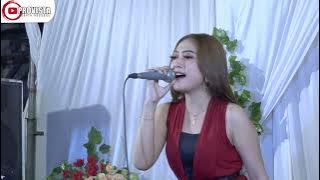 JANGAN DENDAM I Shinta Arsinta I Provista live Pace Kulon