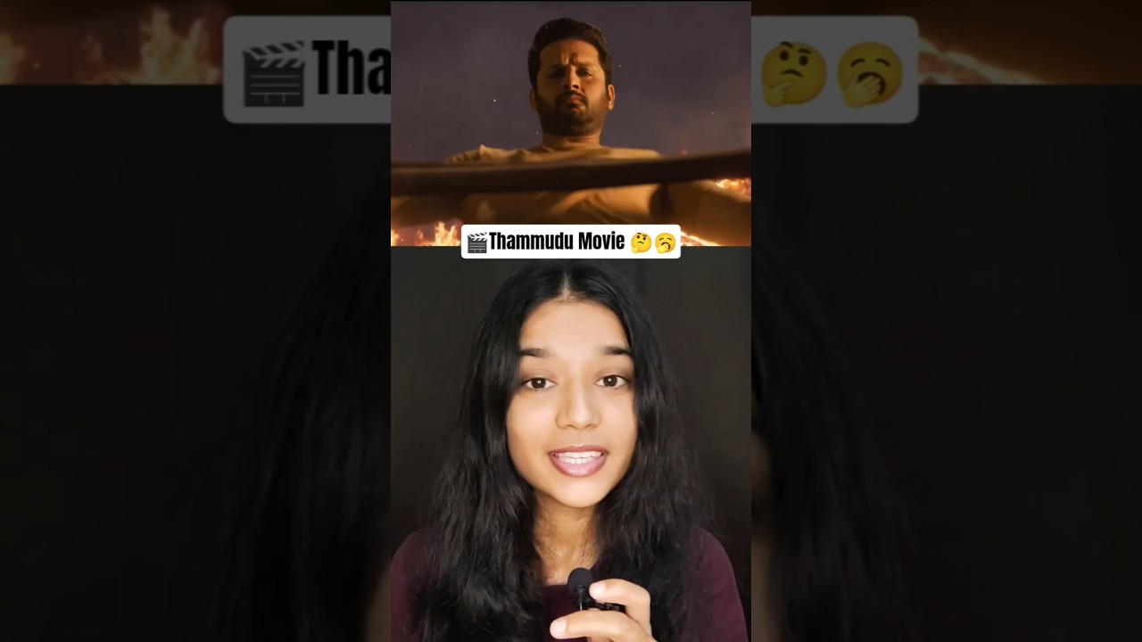 Thammudu movie review hindi, Nithiin, 
