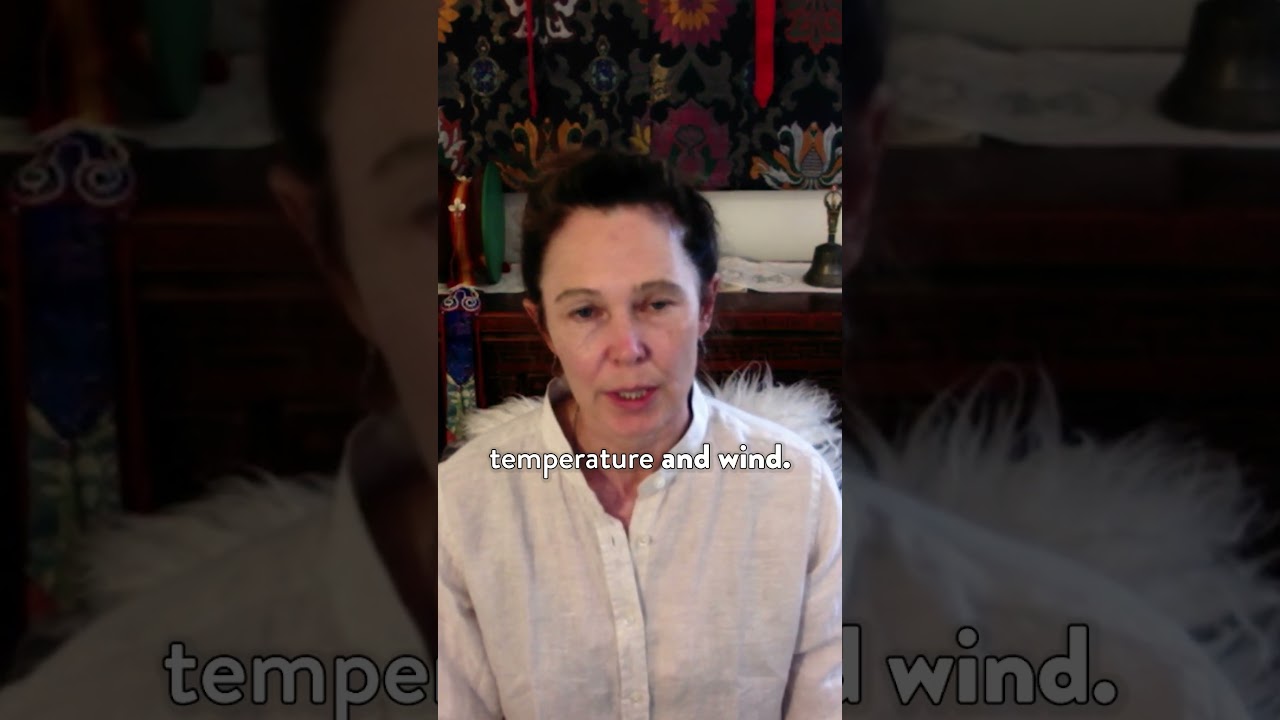 Vividness and Openness in Body Awareness