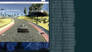 Behavioral Cloning Demo