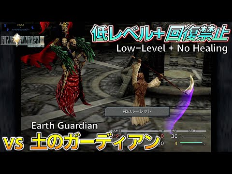 FF9/低レベル+回復禁止 土のガーディアン戦