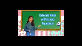 External Parts of the Fish (Ms. Paradiro_TTL)
