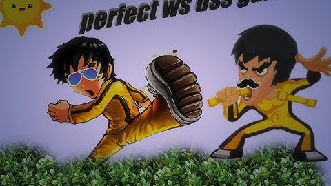 How to have perfect WS DSS law