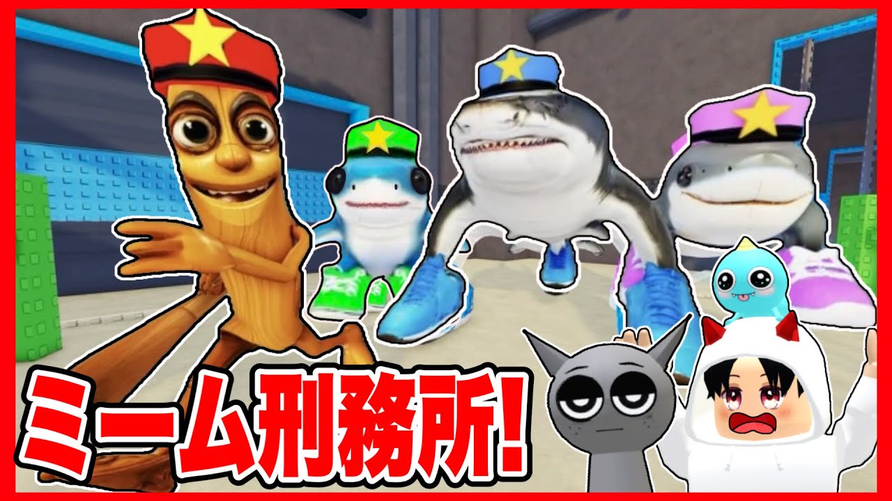 The results of escaping from a prison featuring the popular