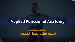 Human Skeletal System | A Complete Guide to the Skeleton for Beginners