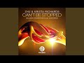 Miniature de la vidéo de la chanson Can't Be Stopped (Stonebridge And Luv Gunz Remix)