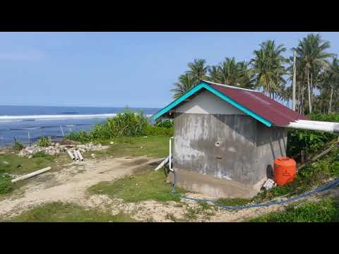 Kaporit Untuk Tambak Udang