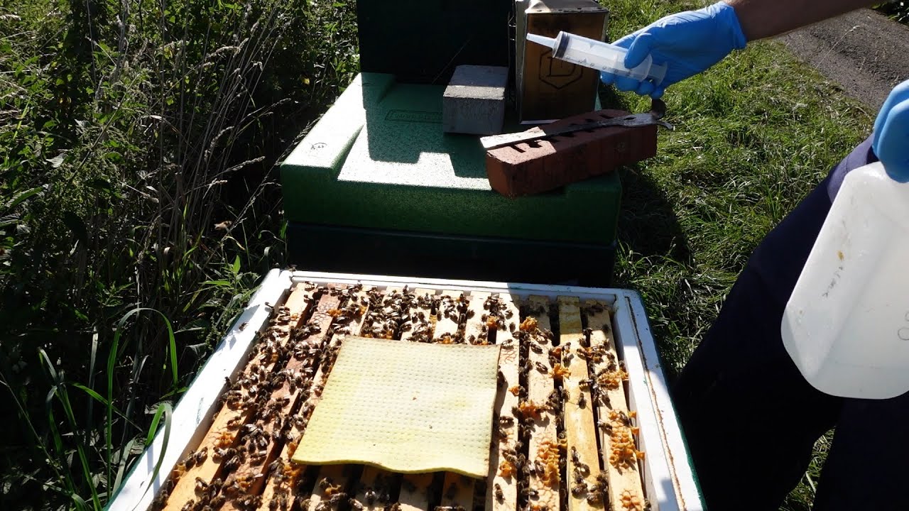 Ameisensäure Schwammtuchbehandlung