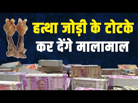 हत्था जोड़ी के शक्तिशाली टोटके कंगाल को भी कर देते हैं मालामाल, Hatha Jodi Ke Totke