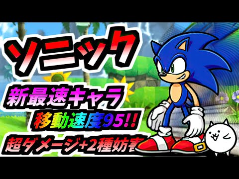 Sonic / Sonic & Cat - Information & testing (Sonic Collaboration