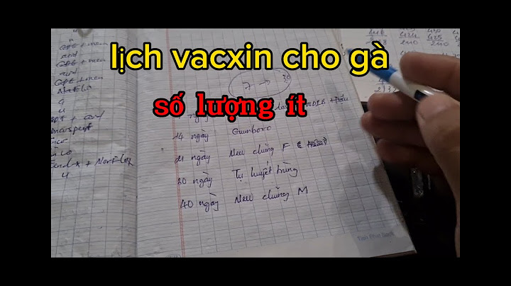 Làm vacxin cho 1000 gà tốn bao nhiêu thời gian