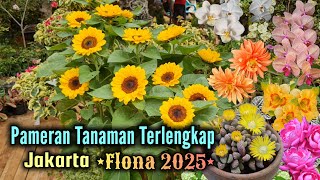 Download Lagu Pameran Tanaman Terlengkap di Jakarta | Tanaman Viral Hingga Tanaman Langka Ada Di Sini !! MP3 Download Lagu Pameran Tanaman Terlengkap di Jakarta | Tanaman Viral Hingga Tanaman Langka Ada Di Sini !! MP3