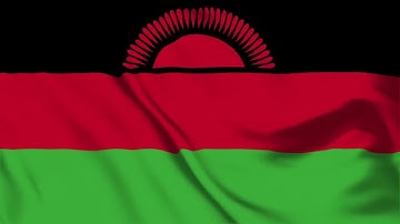 Malawi Flag Waving | Malawian Flag Waving | HD | FREE DOWNLOAD
