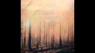 If These Trees Could Talk - They Speak With Knives