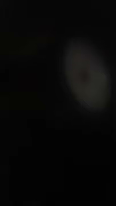 Tai hidung terbesar di dunia