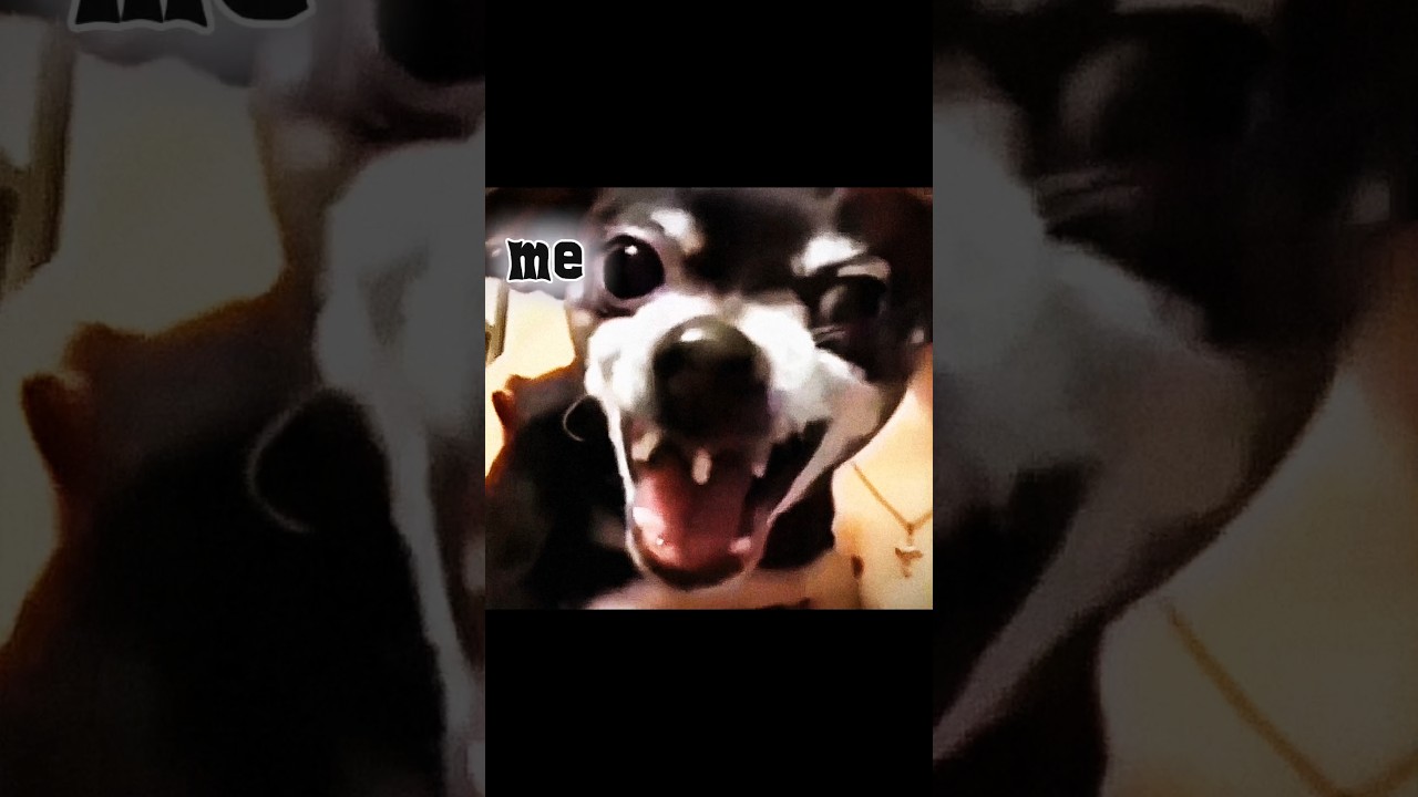 BR Rank double vector power 🫤 