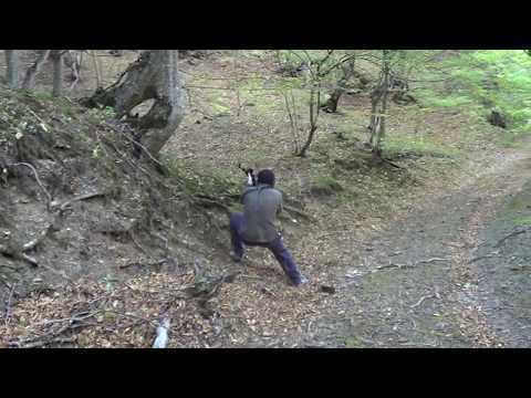 ვარჯიში