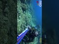 Chasse sous marine mediterranee Pêche sous marine #mer #pêche #apnée #shorts #spearfishing #fishing