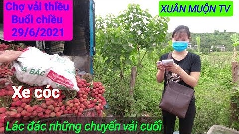 vải thiều chợ chiều những chuyến vải cuối vụ trước khi phải cách ly xã hội vì dịch bệnh COVID