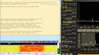 Radio Australia Digital Text 12065kHz (18 May 2013 1230UTC) screenshot 5
